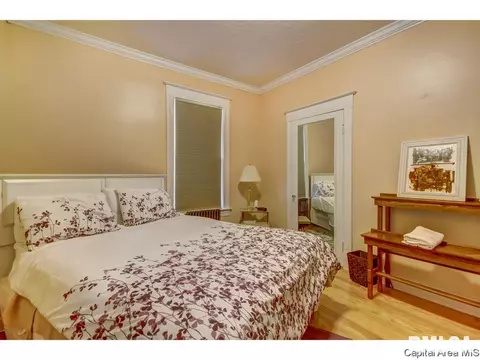 414 E Black Ave, Springfield, IL 62702 photo 30