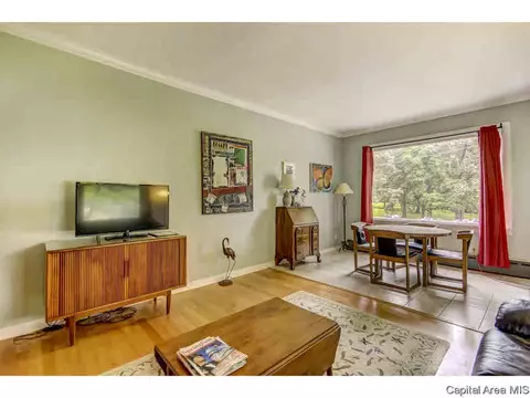 414 E Black Ave, Springfield, IL 62702 photo 13