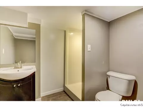 3165 Elmhurst Dr, Springfield, IL 62704 photo 23