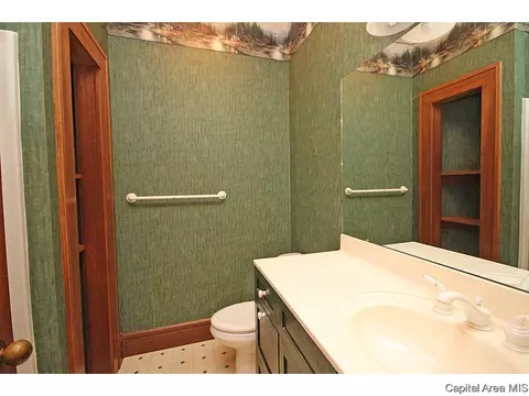 4513 Turtle Bay, Springfield, IL 62711 photo 27