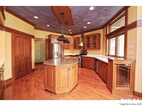 4513 Turtle Bay, Springfield, IL 62711 photo 11