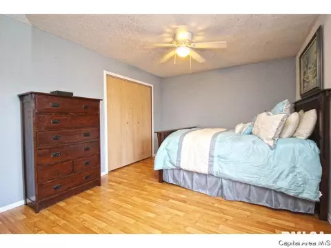 10 Longview Dr, Springfield, IL 62712 photo 17