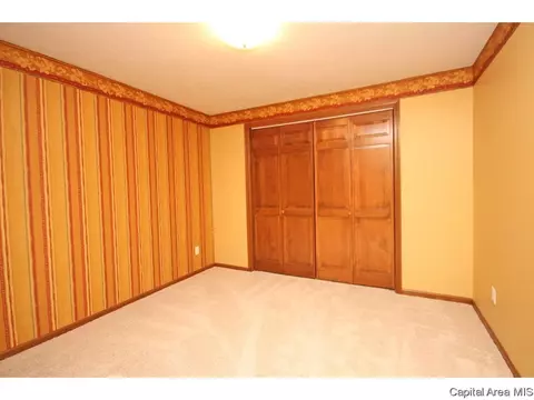 2416 Heather Mill Ct, Springfield, IL 62704 photo 29