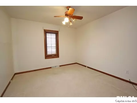 2416 Heather Mill Ct, Springfield, IL 62704 photo 19