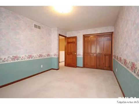 2416 Heather Mill Ct, Springfield, IL 62704 photo 16
