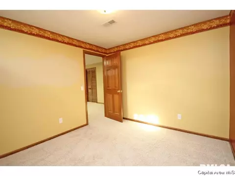 2416 Heather Mill Ct, Springfield, IL 62704 photo 26