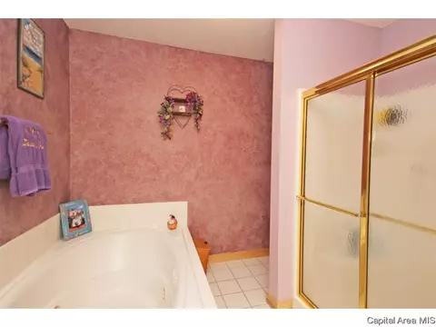 3117 W Washington St, Springfield, IL 62702 photo 22