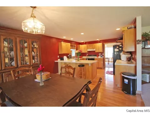3117 W Washington St, Springfield, IL 62702 photo 10