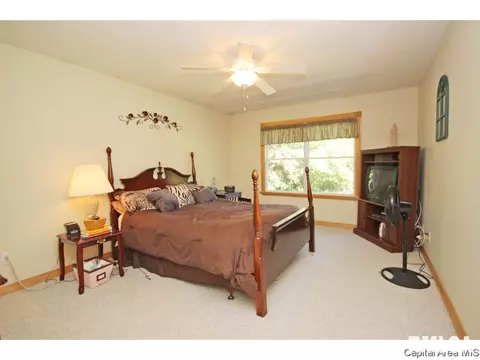 3117 W Washington St, Springfield, IL 62702 photo 19