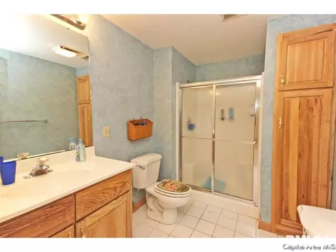 3117 W Washington St, Springfield, IL 62702 photo 28