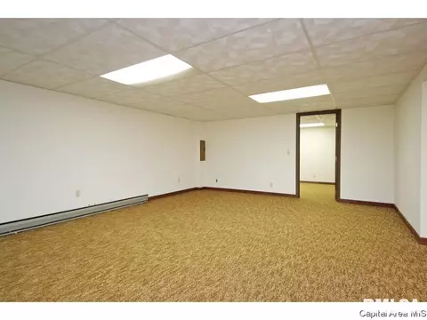 204 Deerhead Ln, Springfield, IL 62704 photo 25