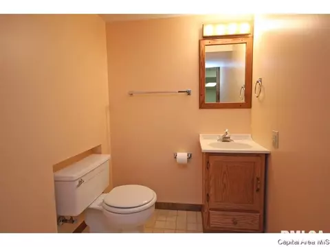 204 Deerhead Ln, Springfield, IL 62704 photo 22