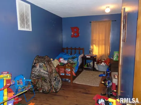 303 E Locust, Chatham, IL 62629 photo 9