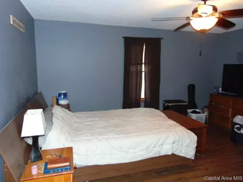 303 E Locust, Chatham, IL 62629 photo 8