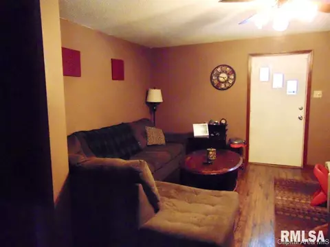 303 E Locust, Chatham, IL 62629 photo 3