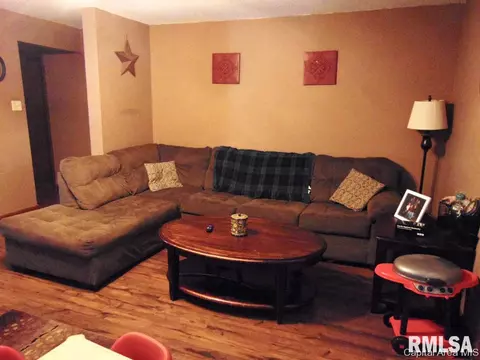 303 E Locust, Chatham, IL 62629 photo 2