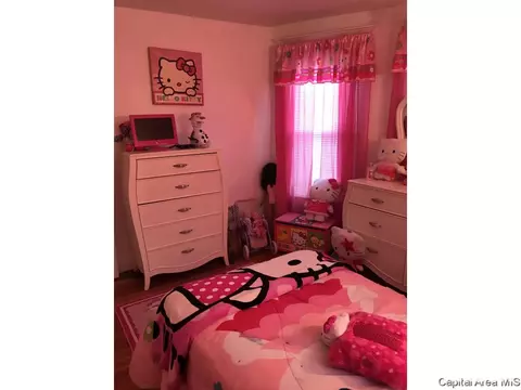 833 S Walnut, Springfield, IL 62704 photo 18