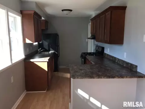 941 E Griffiths Ave, Springfield, IL 62702 photo 3