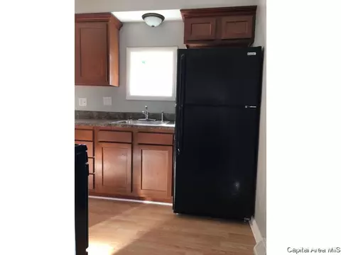941 E Griffiths Ave, Springfield, IL 62702 photo 4