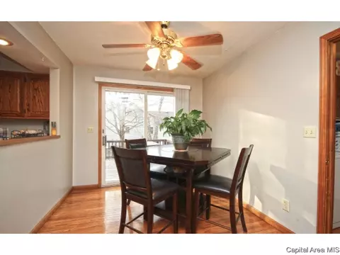 4000 Springer Ln, Springfield, IL 62711 photo 19