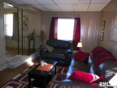 116 S Pilot St, Oneida, IL 61467 photo 9