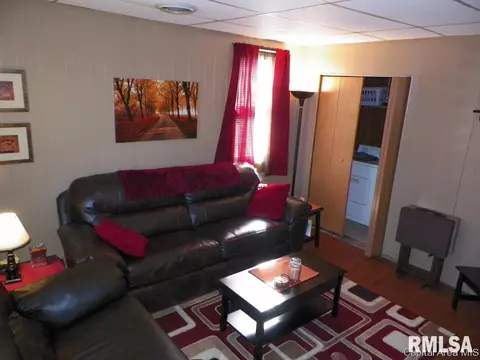 116 S Pilot St, Oneida, IL 61467 photo 10