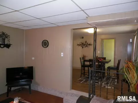 116 S Pilot St, Oneida, IL 61467 photo 11