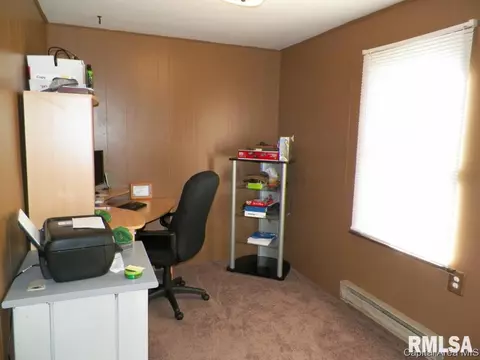 116 S Pilot St, Oneida, IL 61467 photo 19