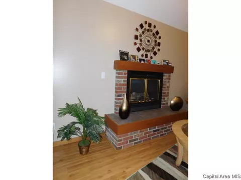 2317 Gander Rd, Springfield, IL 62711 photo 5