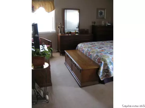 2104 S State St, Springfield, IL 62704 photo 14