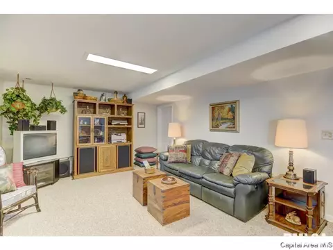 390 Walnut Gln, Springfield, IL 62707 photo 25
