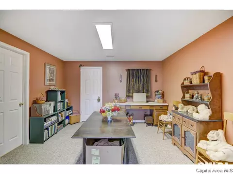 390 Walnut Gln, Springfield, IL 62707 photo 31