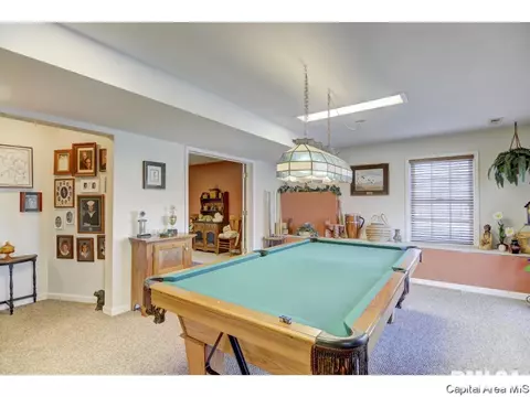 390 Walnut Gln, Springfield, IL 62707 photo 28