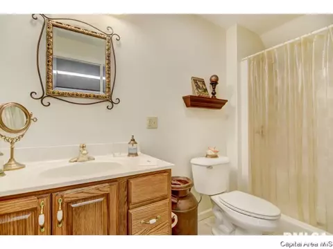 390 Walnut Gln, Springfield, IL 62707 photo 24
