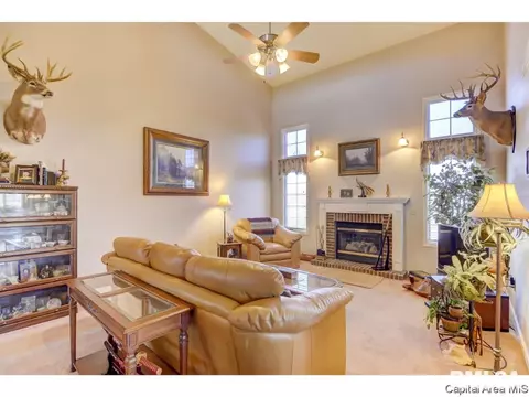 390 Walnut Gln, Springfield, IL 62707 photo 4