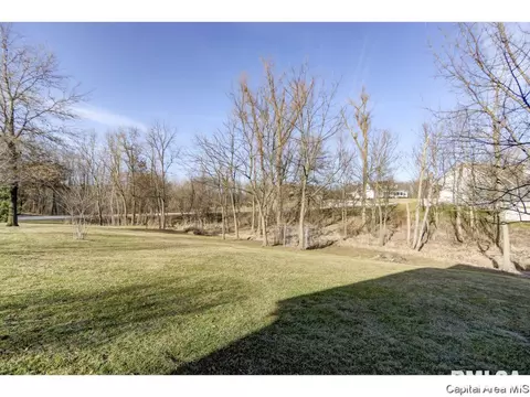 390 Walnut Gln, Springfield, IL 62707 photo 36