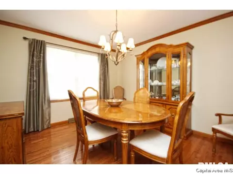 509 Old Tippecanoe, Springfield, IL 62711 photo 9