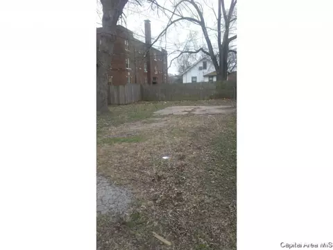 1338 N 8th, Springfield, IL 62702 photo 3