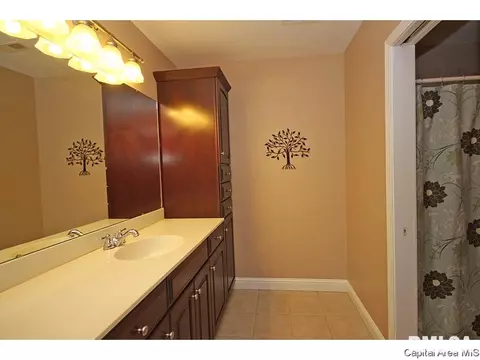 4305 Turtle Bay, Springfield, IL 62711 photo 28
