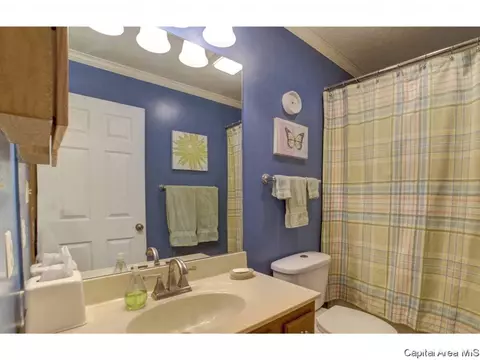 1401 Guemes Ct, Springfield, IL 62702 photo 16