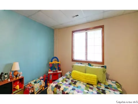 1401 Guemes Ct, Springfield, IL 62702 photo 23