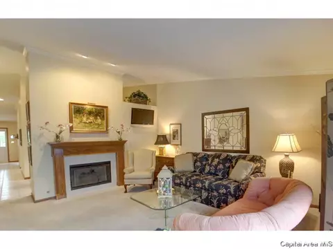 1401 Guemes Ct, Springfield, IL 62702 photo 10