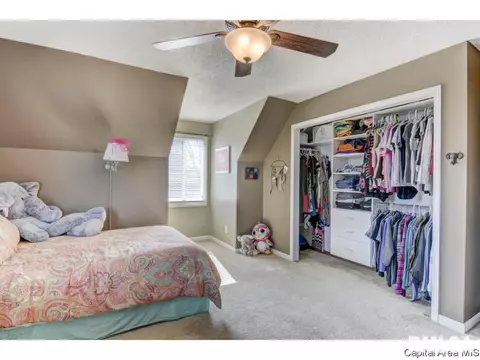 47 Shelly Dr, Springfield, IL 62702 photo 24