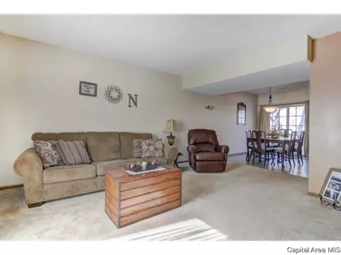47 Shelly Dr, Springfield, IL 62702 photo 6