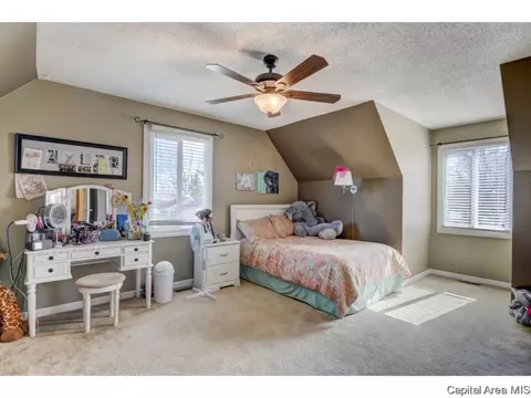 47 Shelly Dr, Springfield, IL 62702 photo 26