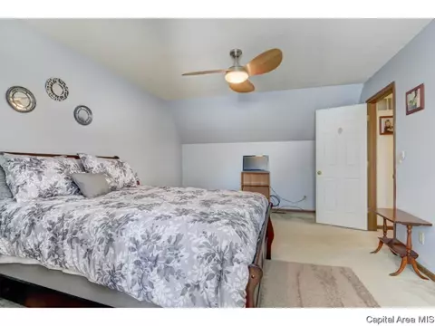 47 Shelly Dr, Springfield, IL 62702 photo 28