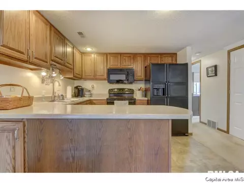 47 Shelly Dr, Springfield, IL 62702 photo 13