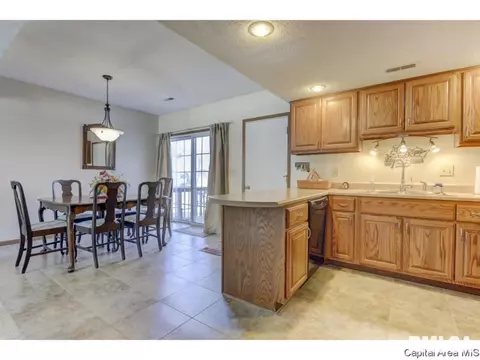 47 Shelly Dr, Springfield, IL 62702 photo 11