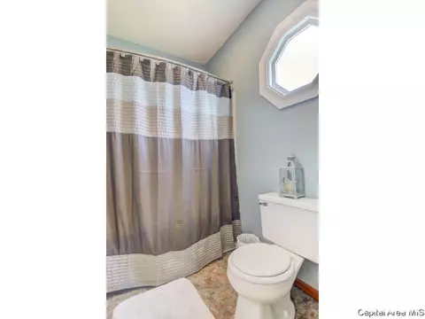 47 Shelly Dr, Springfield, IL 62702 photo 21