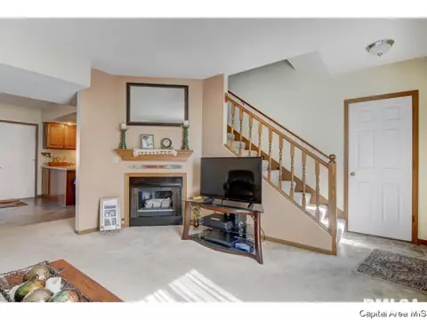 47 Shelly Dr, Springfield, IL 62702 photo 2